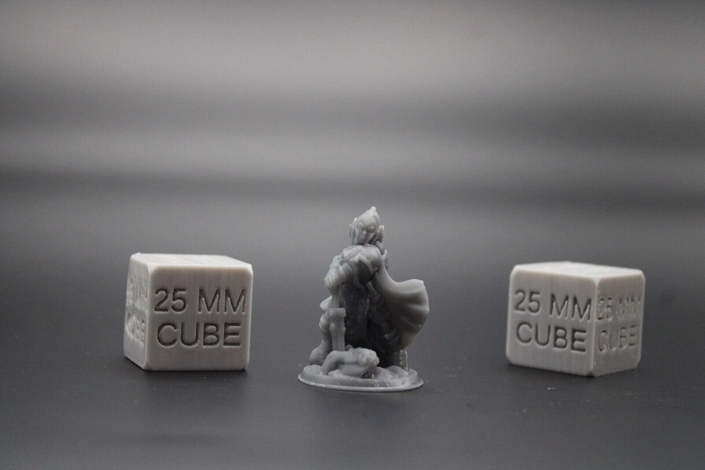 Paladin Knight Fighter Female Great Sword 32mm Miniature Dnd Skirmish