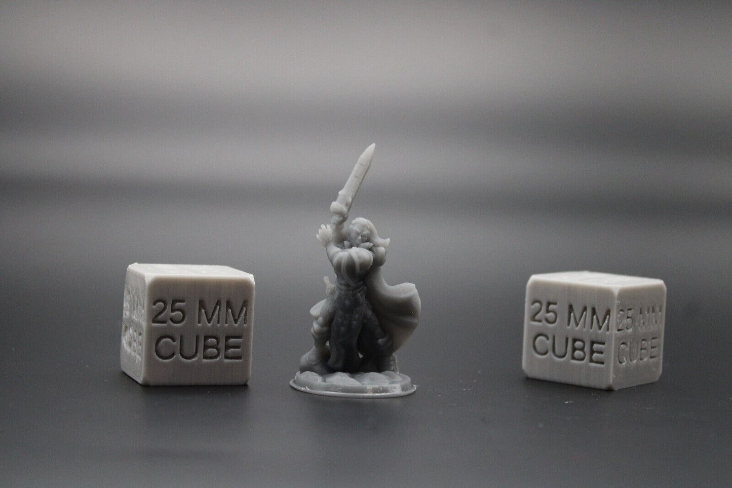 Paladin Fighter Female Great Sword Dagger Cape 32mm Miniature Dnd Skirmish