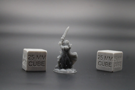 Paladin Fighter Female Great Sword Dagger Cape 32mm Miniature Dnd Skirmish