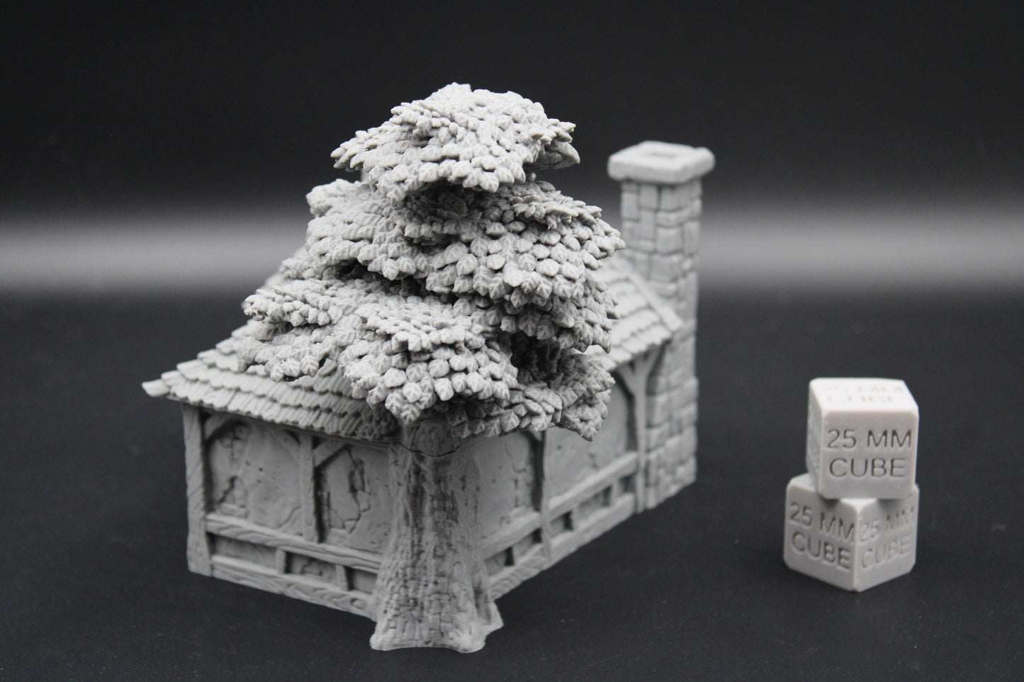 Tabletop Terrain Alchemist Druid Cottage House Dnd RPG wargame skirmish 28mm