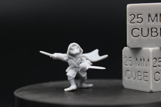Mallard Duck Assassin Thief Dual Wield 28-32mm Miniature Dnd Skirmish