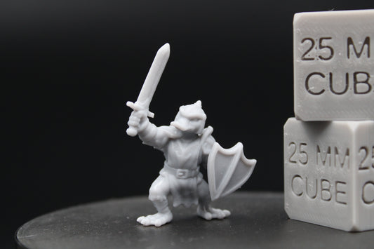 Mallard Duck Paladin Knight Sword Shield 28-32mm Miniature Dnd Skirmish