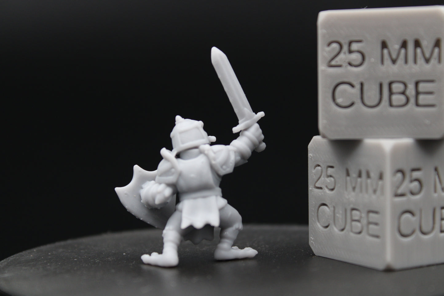 Mallard Duck Paladin Knight Sword Shield 28-32mm Miniature Dnd Skirmish