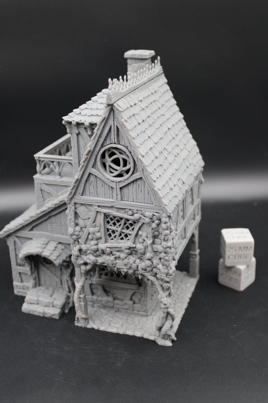 Tabletop Terrain Healers House Witch Wizard Hag Dnd RPG wargame skirmish 28mm