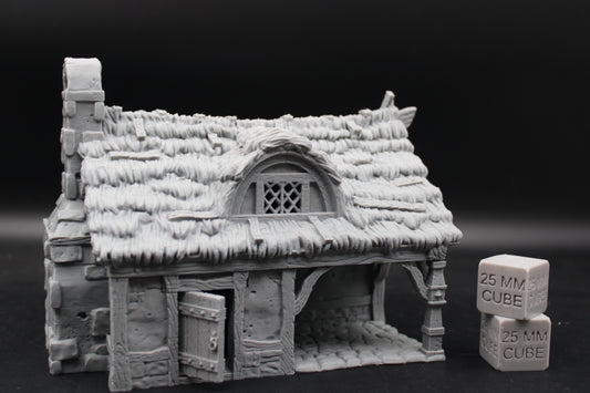 Tabletop Terrain Cottage Thatch Roof House Dnd RPG wargame skirmish 28mm