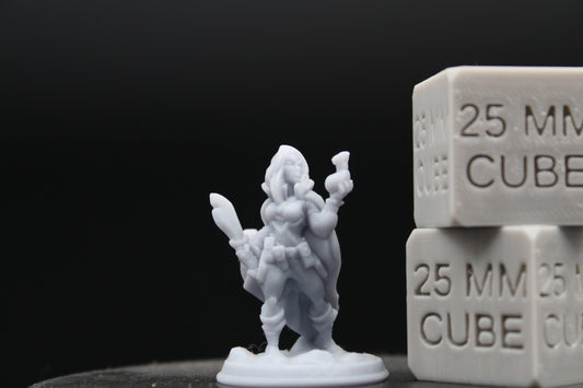 Rogue Female Thief Sword Coin Purse Loot Bag 32mm Miniature Dnd Skirmish
