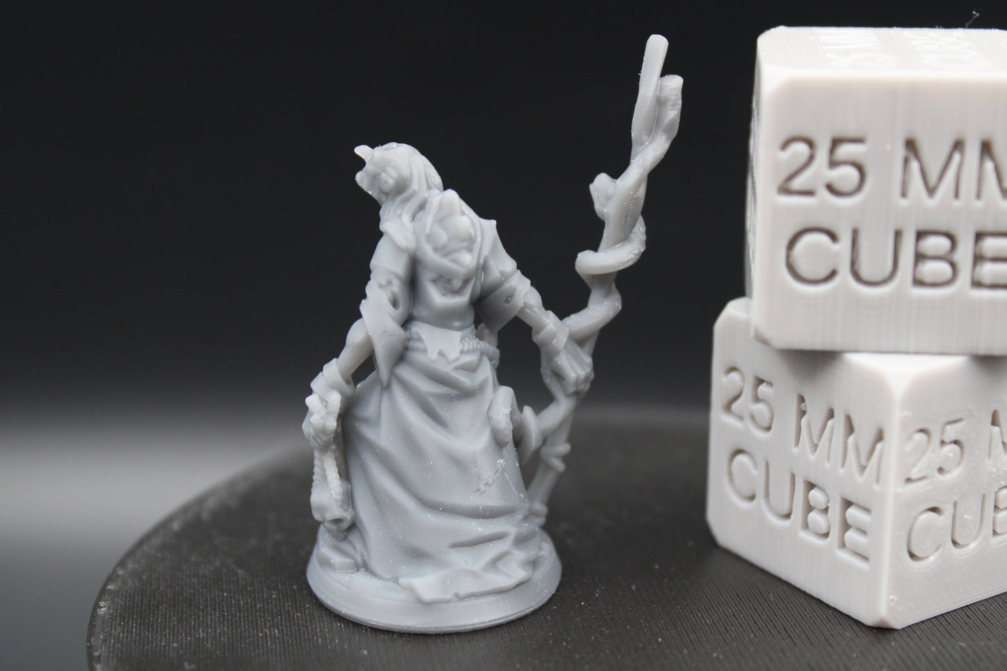 Witch Hag Snake Staff With Cat Female 32mm Miniature Dnd Skirmish