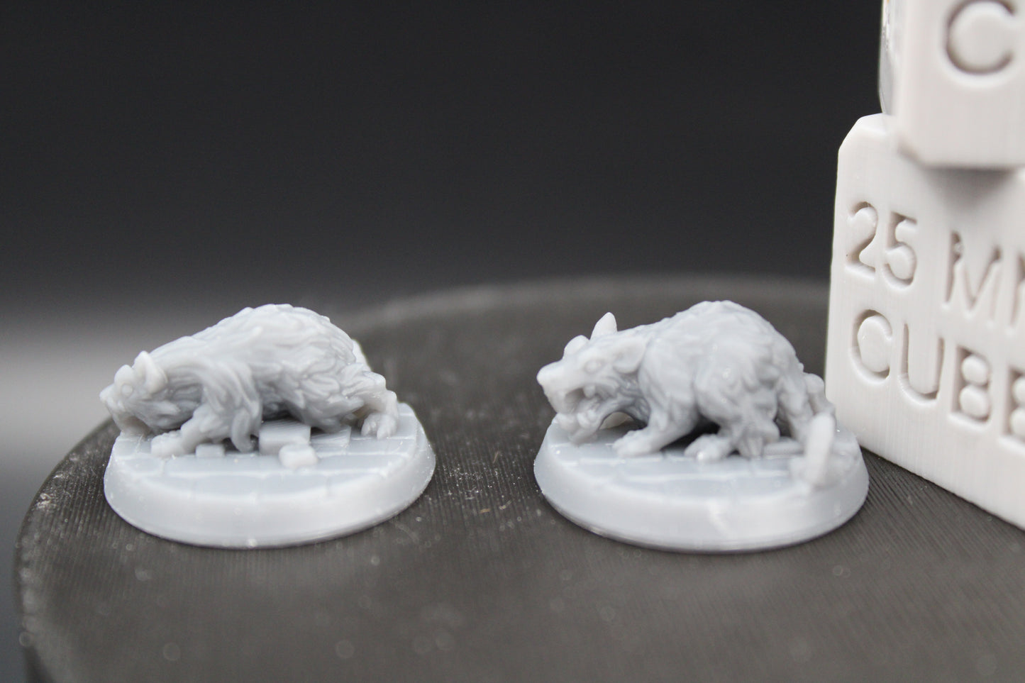 Witch Familiar Giant Rat Pair 32mm Miniature Dnd Skirmish