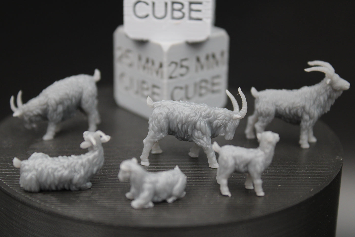 Farm Ram Sheep Goat Set of 6 28mm 32mm Miniature Dnd Skirmish