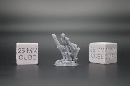 Skeleton Undead Warrior Fighter Sword Wood Shield 32mm Miniature Dnd Skirmish