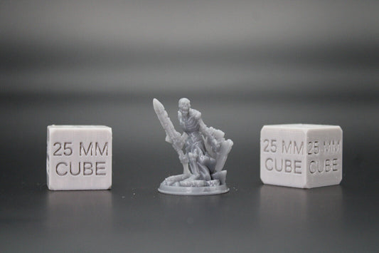 Skeleton Undead Warrior Fighter Sword Wood Shield 32mm Miniature Dnd Skirmish
