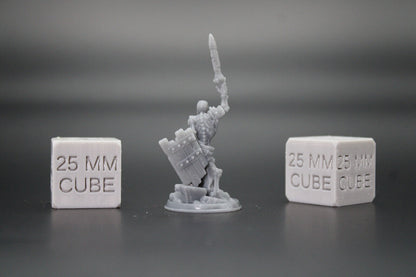 Skeleton Undead Warrior Fighter Raised Sword Shield 32mm Miniature Dnd Skirmish
