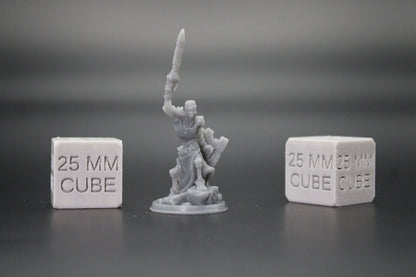 Skeleton Undead Warrior Fighter Raised Sword Shield 32mm Miniature Dnd Skirmish