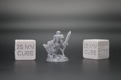 Skeleton Undead Warrior Fighter Sword Wood Shield 32mm Miniature Dnd Skirmish