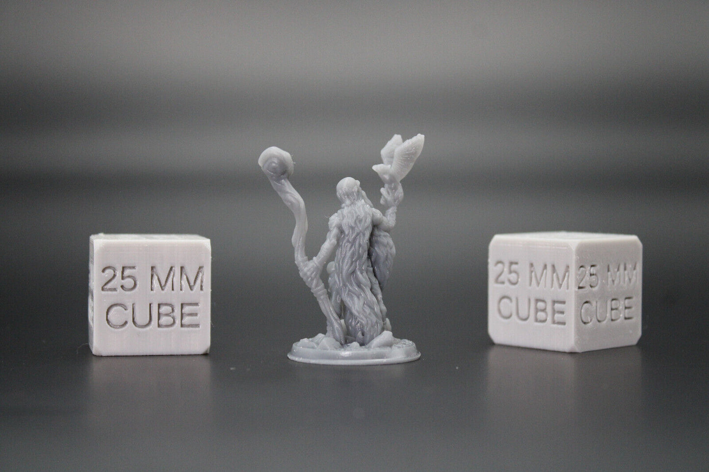 Druid Herbalist Witch Warlock with Bird & Staff 32mm Miniature Dnd Skirmish