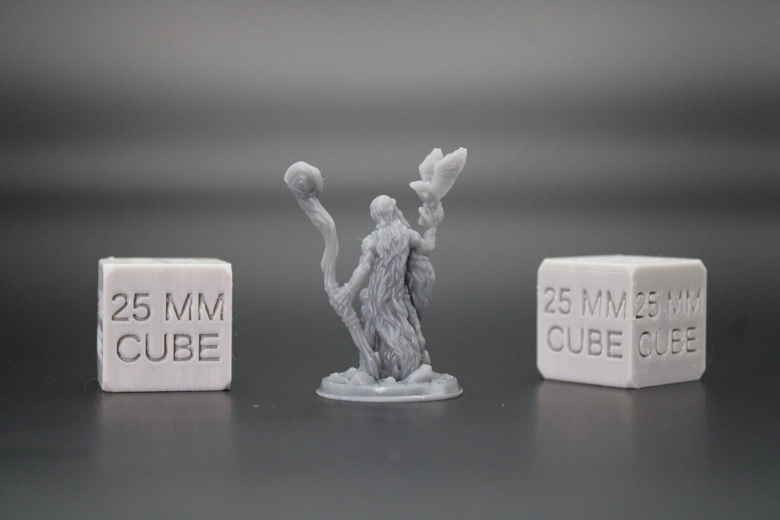 Druid Herbalist Witch Warlock with Bird & Staff 32mm Miniature Dnd Skirmish