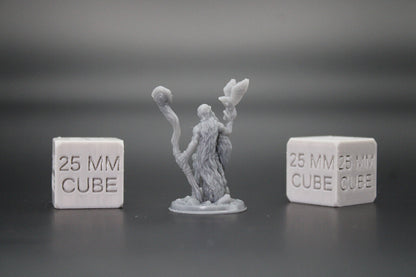 Druid Herbalist Witch Warlock with Bird & Staff 32mm Miniature Dnd Skirmish