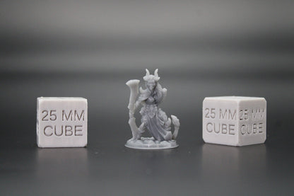 Tiefling Demonkin Female Twin Blade Double Sword 32mm Miniature Dnd Skirmish