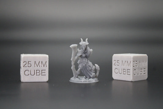 Tiefling Demonkin Female Twin Blade Double Sword 32mm Miniature Dnd Skirmish