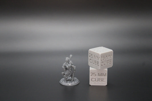 Rockstar Bard Guitar Lute Sword 32mm Miniature Dnd Skirmish