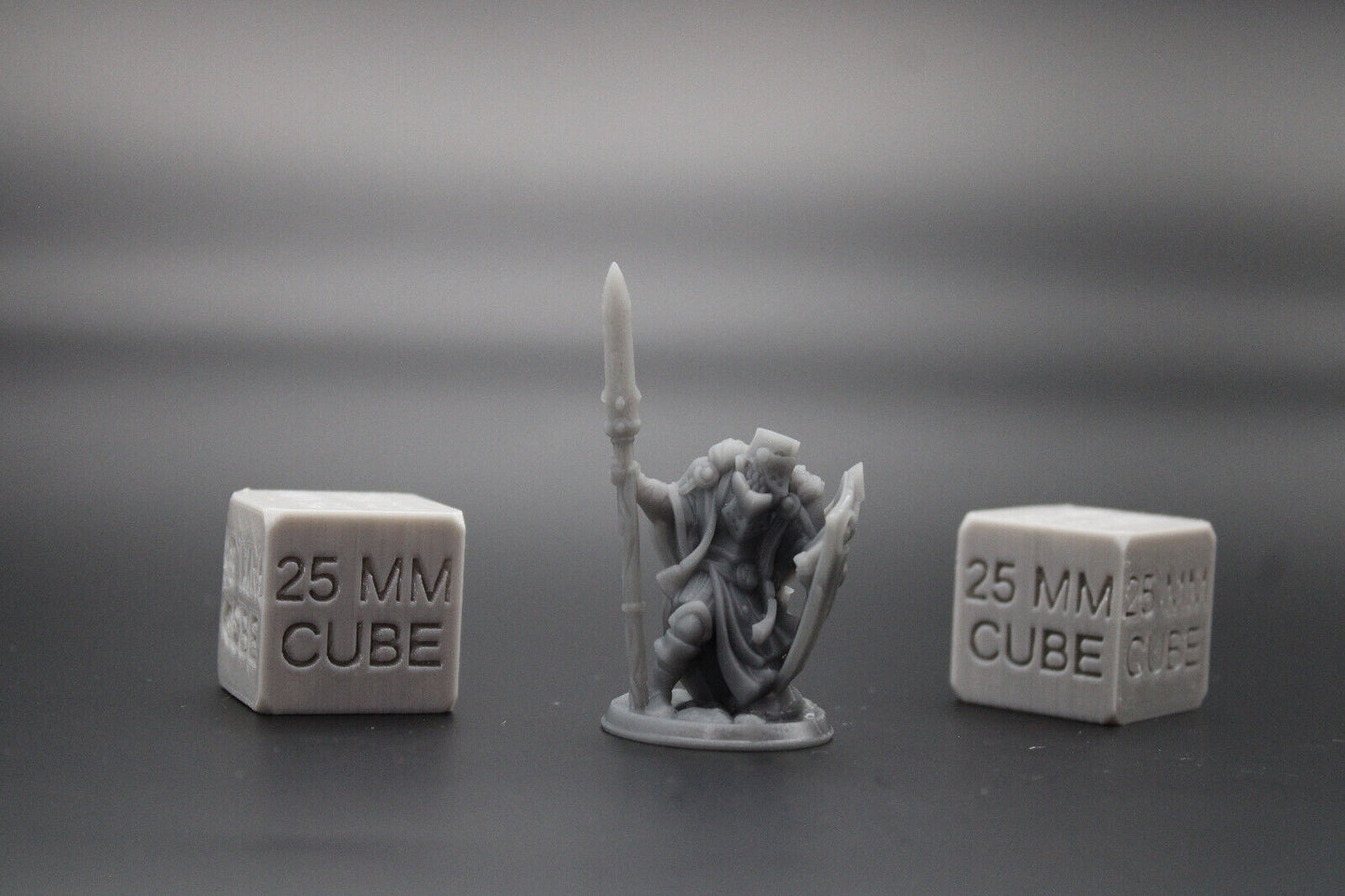Paladin Knight with Pole Axe Halberd & Shield 32mm Miniature Dnd Skirmish