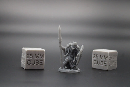 Paladin Knight with Pole Axe Halberd & Shield 32mm Miniature Dnd Skirmish