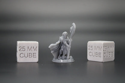 Cleric Paladin Female with Great Axe  32mm Miniature Dnd Skirmish