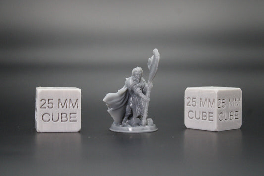 Cleric Paladin Female with Great Axe  32mm Miniature Dnd Skirmish