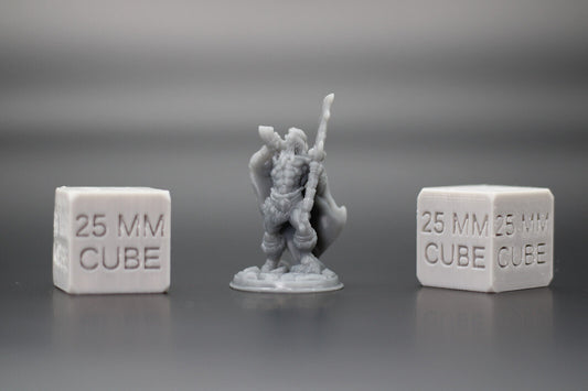 Barbarian with Great Sword & Horn 32mm Miniature Dnd Skirmish