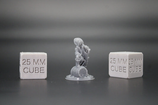 Bard with Lute Foot on Barrel 32mm Miniature Dnd Skirmish