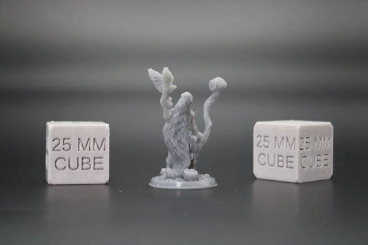 Druid Herbalist Witch Warlock with Bird & Staff 32mm Miniature Dnd Skirmish