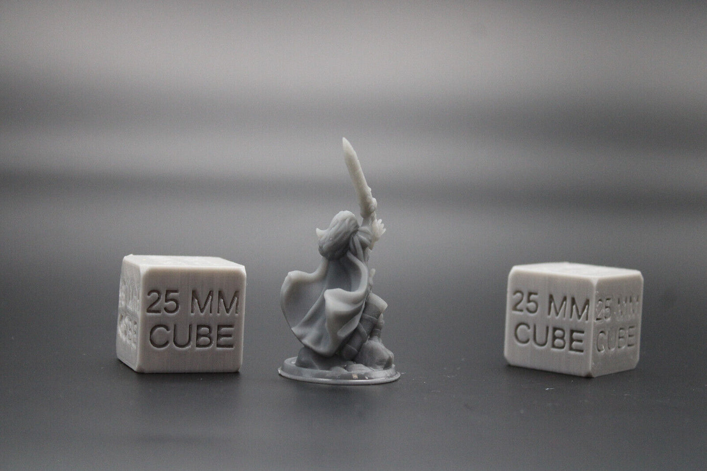 Paladin Fighter Female Great Sword Dagger Cape 32mm Miniature Dnd Skirmish