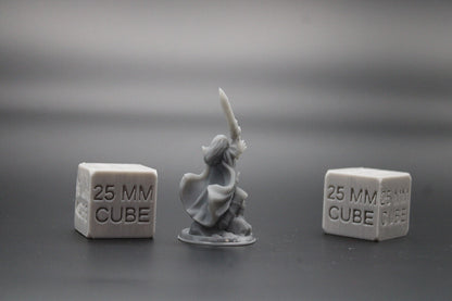 Paladin Fighter Female Great Sword Dagger Cape 32mm Miniature Dnd Skirmish