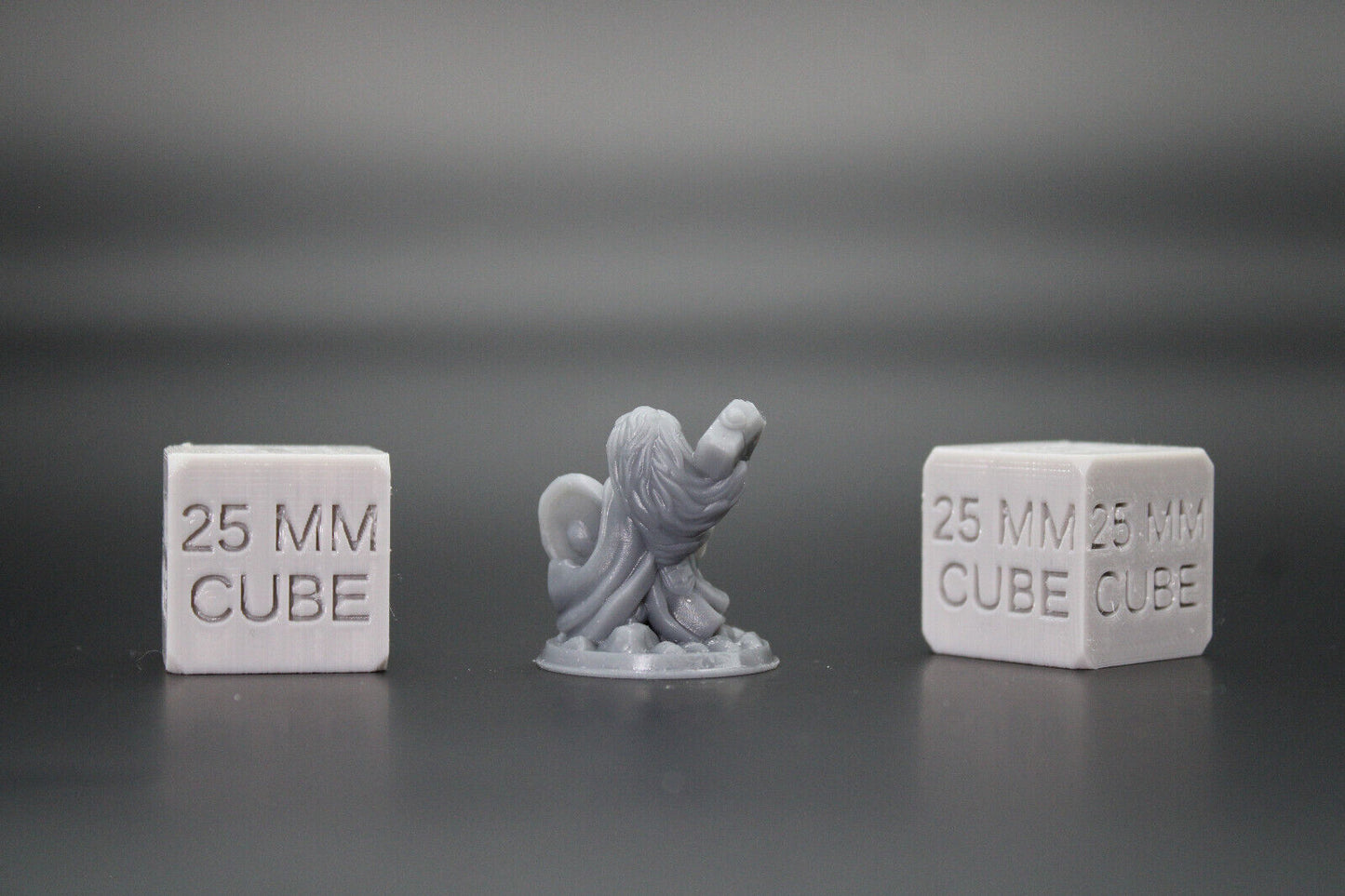 Dwarf Female FIghter Warrior Hammer Shield 32mm Miniature Dnd Skirmish
