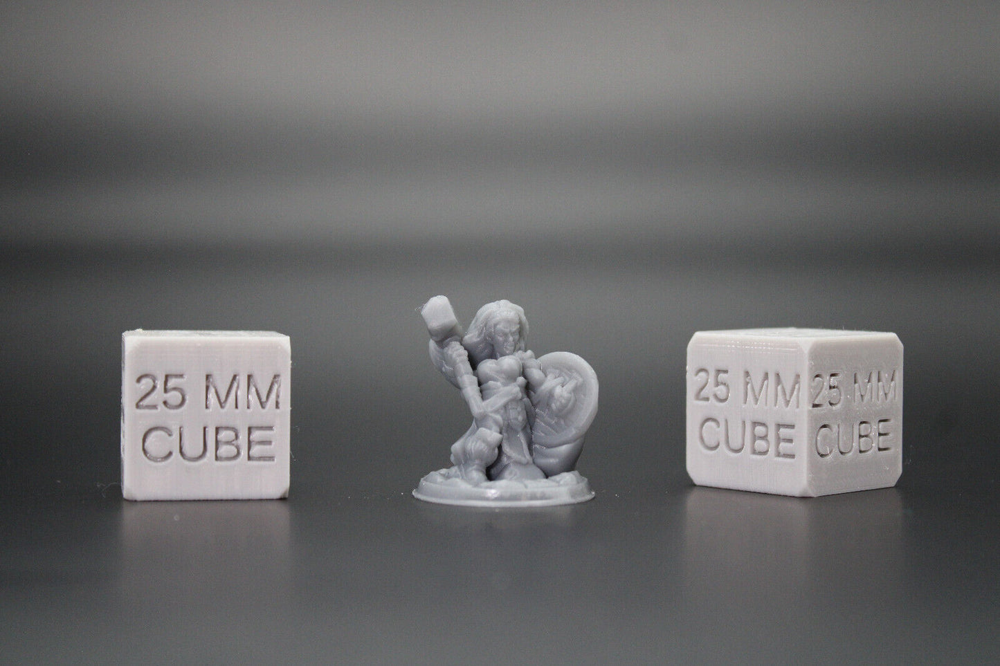 Dwarf Female FIghter Warrior Hammer Shield 32mm Miniature Dnd Skirmish