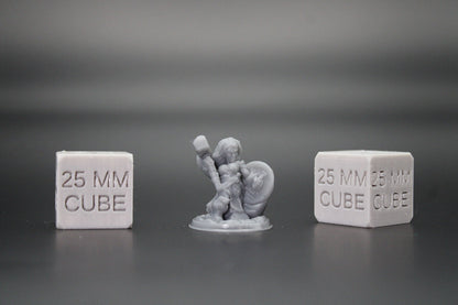 Dwarf Female FIghter Warrior Hammer Shield 32mm Miniature Dnd Skirmish