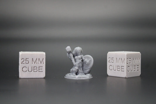 Dwarf Female FIghter Warrior Hammer Shield 32mm Miniature Dnd Skirmish