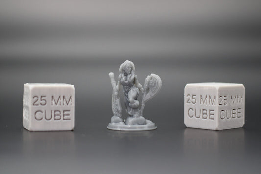 Barbarian Female Dual Wield Axe 32mm Miniature Dnd Skirmish