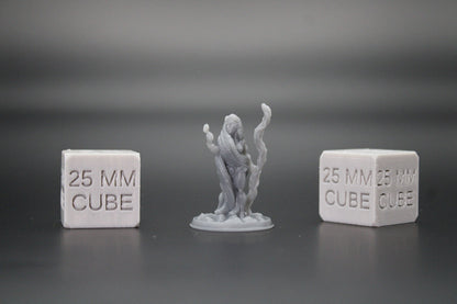 Druid Female Herbalist Witch 32mm Miniature Dnd Skirmish