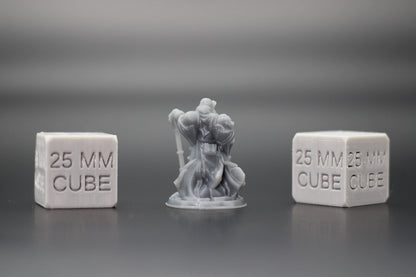 Cleric with Hammer Paladin 32mm Miniature Dnd Skirmish