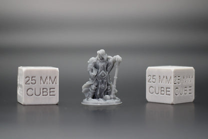 Cleric with Hammer Paladin 32mm Miniature Dnd Skirmish