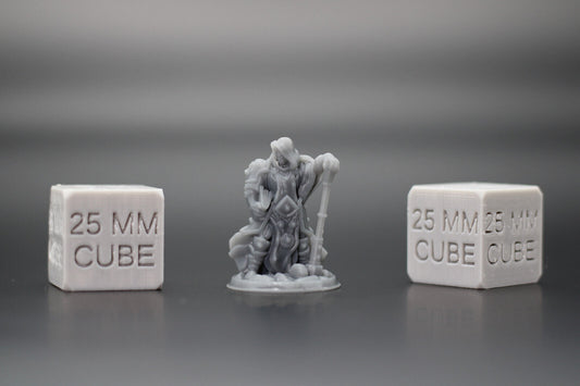 Cleric with Hammer Paladin 32mm Miniature Dnd Skirmish