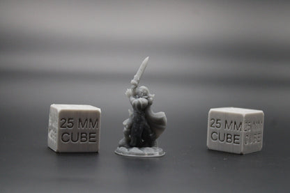 Paladin Fighter Female Great Sword Dagger Cape 32mm Miniature Dnd Skirmish