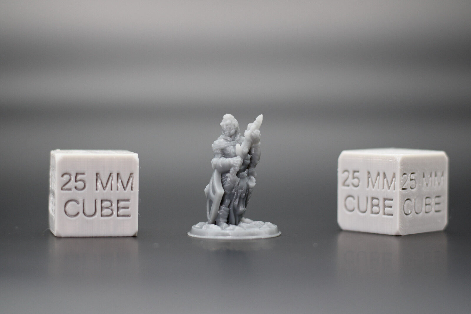 Fighter Warrior Polishing Sword with Shield 32mm Miniature Dnd Skirmish
