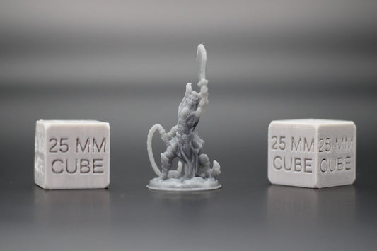 Tiefling Demonkin with Sword & Whip 32mm Miniature Dnd Skirmish
