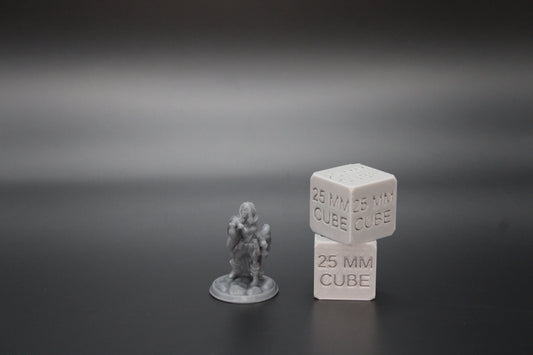 Rogue Female Thief Sword Loot Bag 32mm Miniature Dnd Skirmish