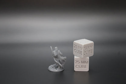 Rogue Thief Sword 32mm Miniature Dnd Skirmish