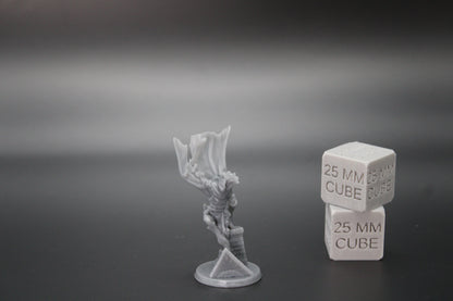 Dragonkin Rogue Female Assassin Thief Dual Wield 32mm Miniature Dnd Skirmish