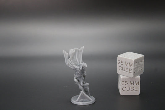 Dragonkin Rogue Female Assassin Thief Dual Wield 32mm Miniature Dnd Skirmish
