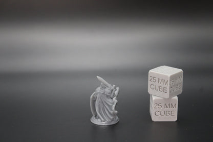 Paladin Knight Sword Tower Shield Scroll 32mm Miniature Dnd Skirmish